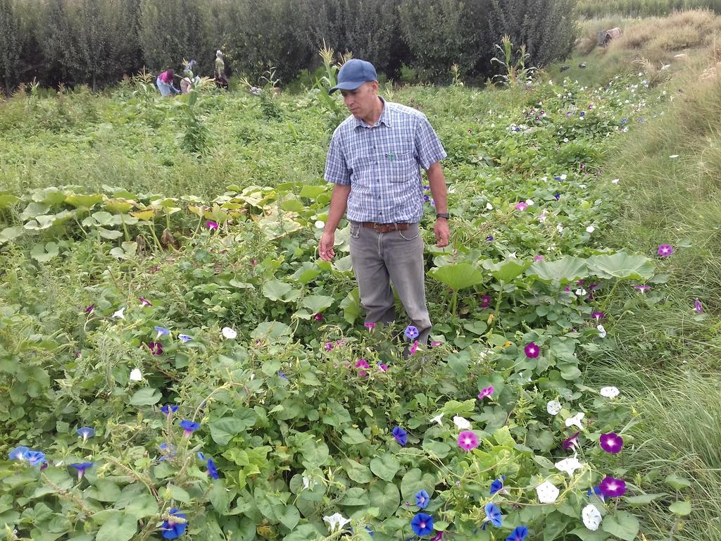 Kasbah Izoran 호텔 미델트 외부 사진
