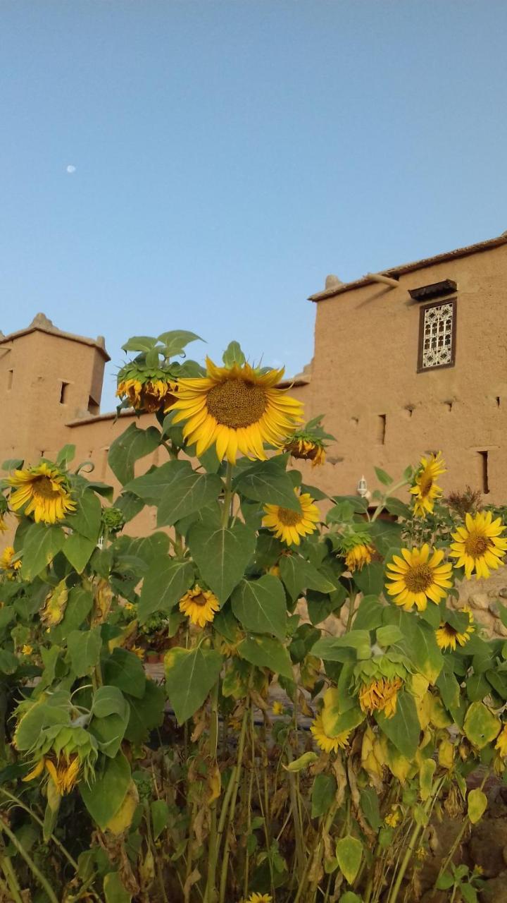 Kasbah Izoran 호텔 미델트 외부 사진