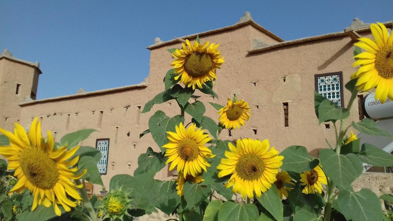 Kasbah Izoran 호텔 미델트 외부 사진