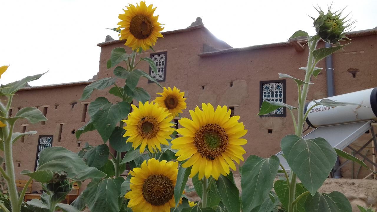Kasbah Izoran 호텔 미델트 외부 사진